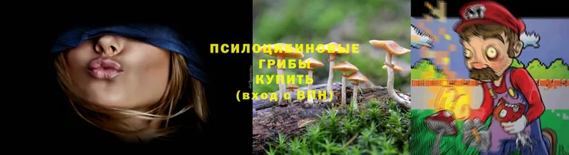 Галлюциногенные грибы MAGIC MUSHROOMS  Кушва 